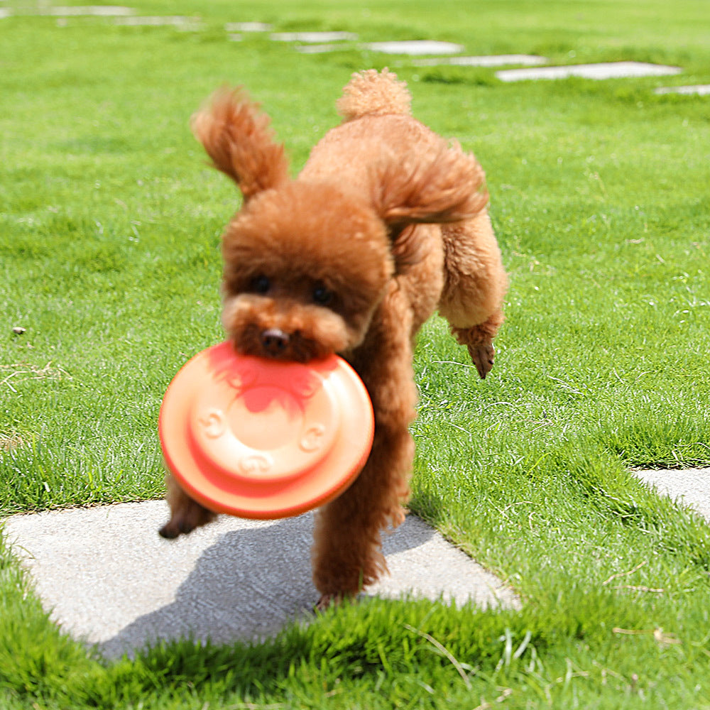 EVA Soft Dog Frisbee