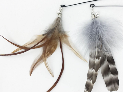 Natural Feather Multiple Styles Cat Teaser Attachment