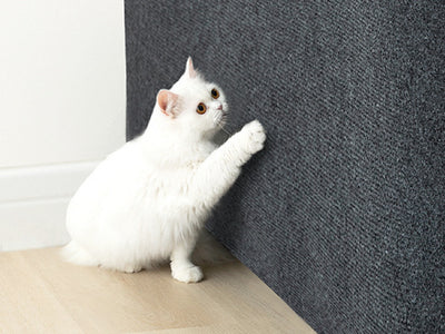Cat Scratch Protection Tape Furniture Guard for Sofas and Walls