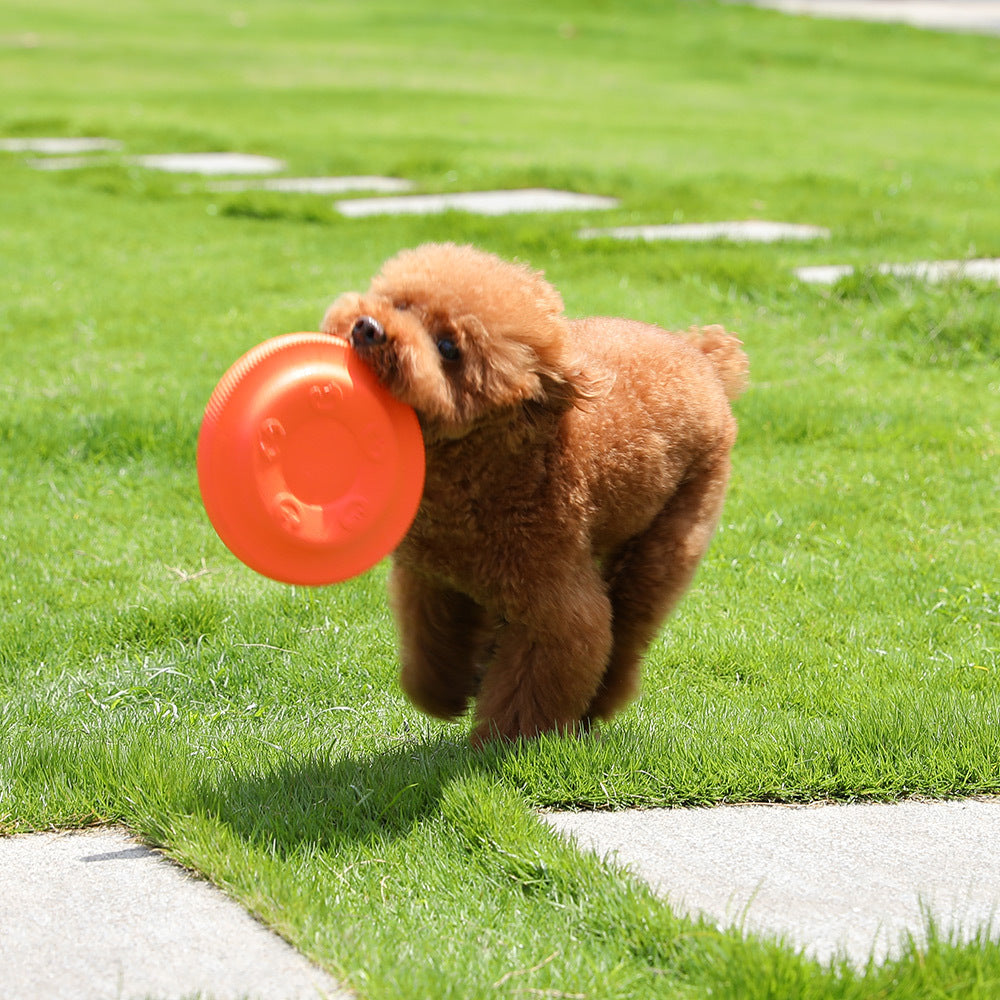 EVA Soft Dog Frisbee